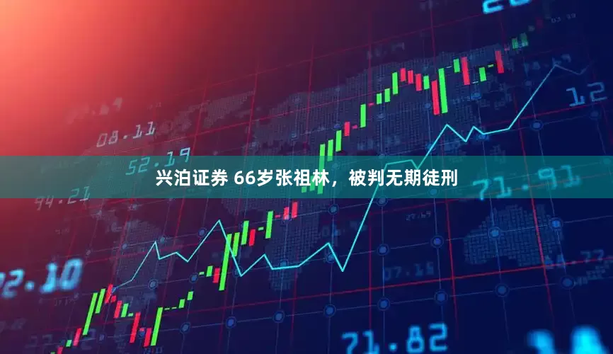 兴泊证券 66岁张祖林，被判无期徒刑